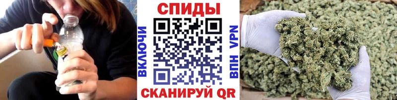 мега ТОР  где купить наркотик  мориарти наркотические препараты  Бутират жидкий экстази  Весьегонск 
