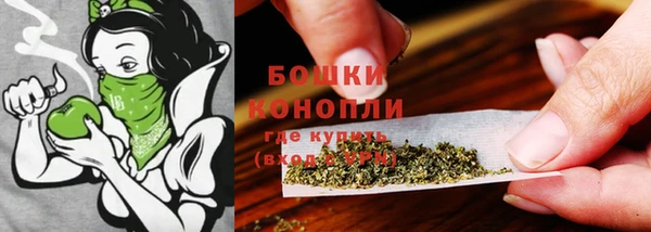 тгк Верея