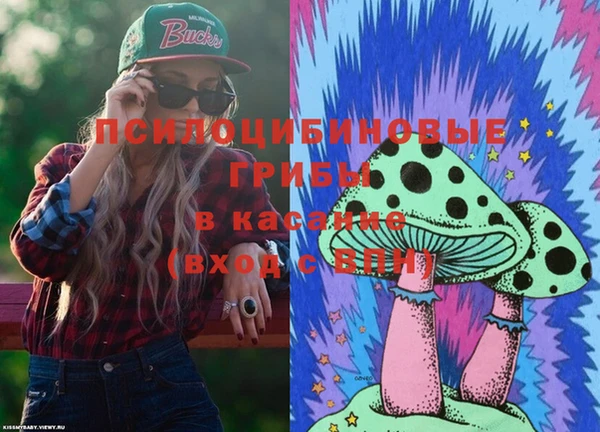 тгк Верея