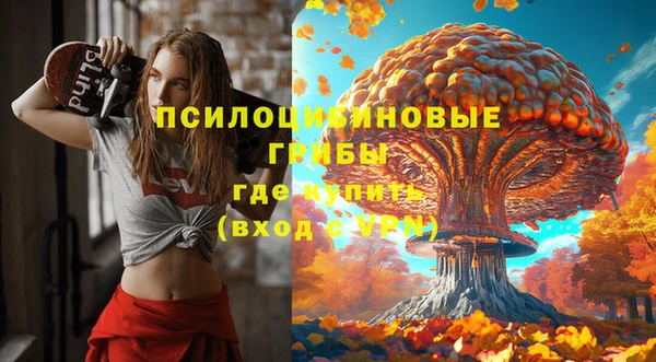 тгк Верея