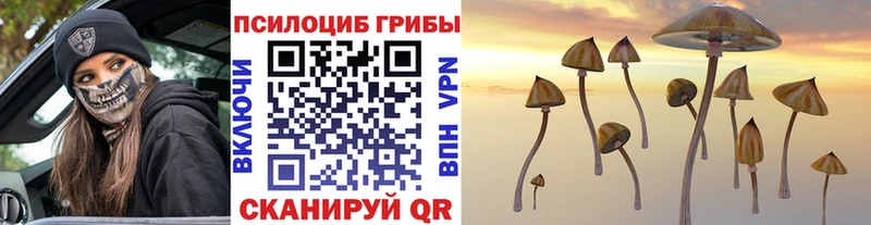 Псилоцибиновые грибы Psilocybine cubensis  Весьегонск 